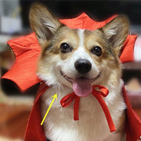 HKM-4685245 Vampire King Pet Halloween Cape in Black - One Size, Adjustable Collar, 71*51cm Spread Size