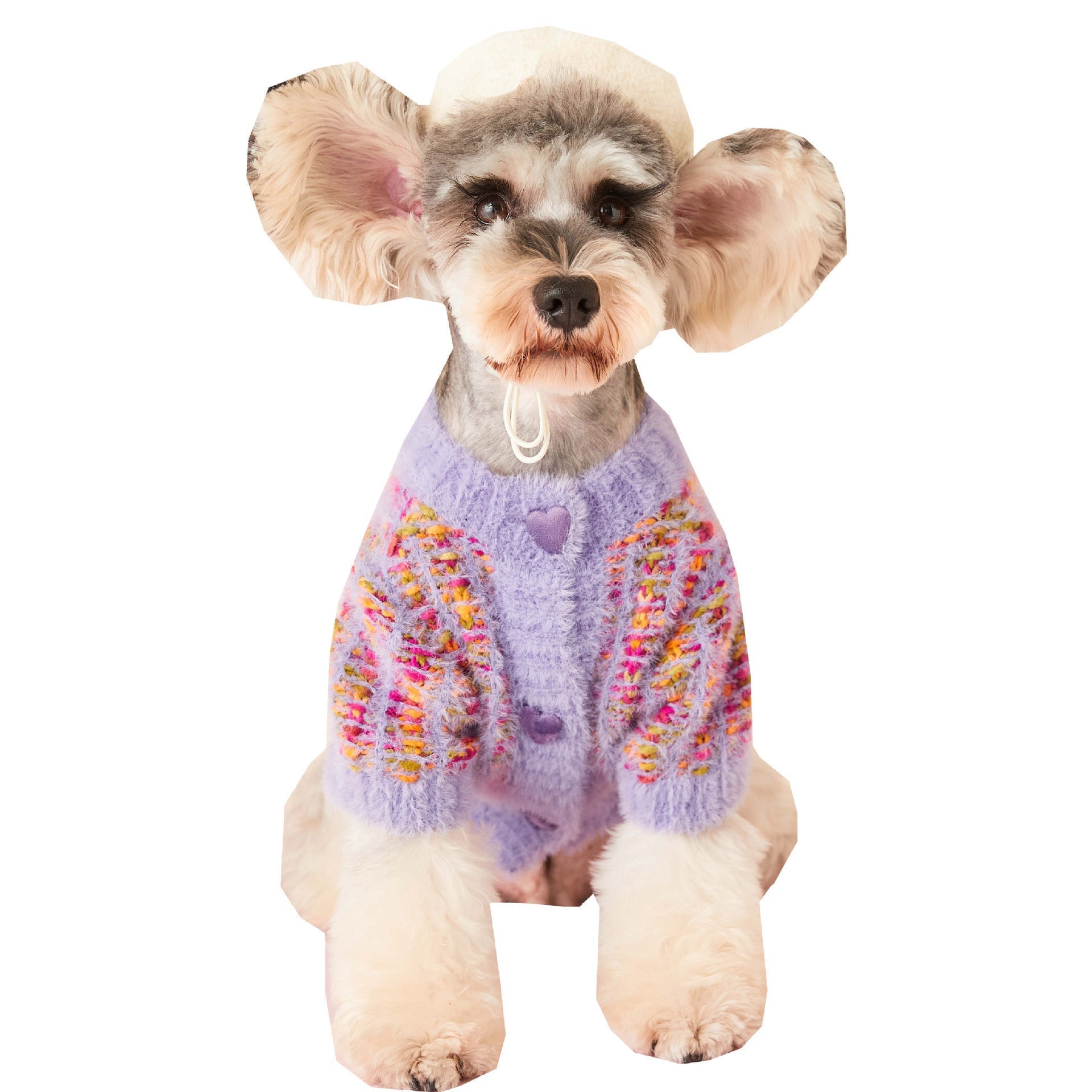 HKM-4686653 Colorful Wool Sweater Cardigan for Female Dogs in Purple and Pink, Sizes XS-2XL