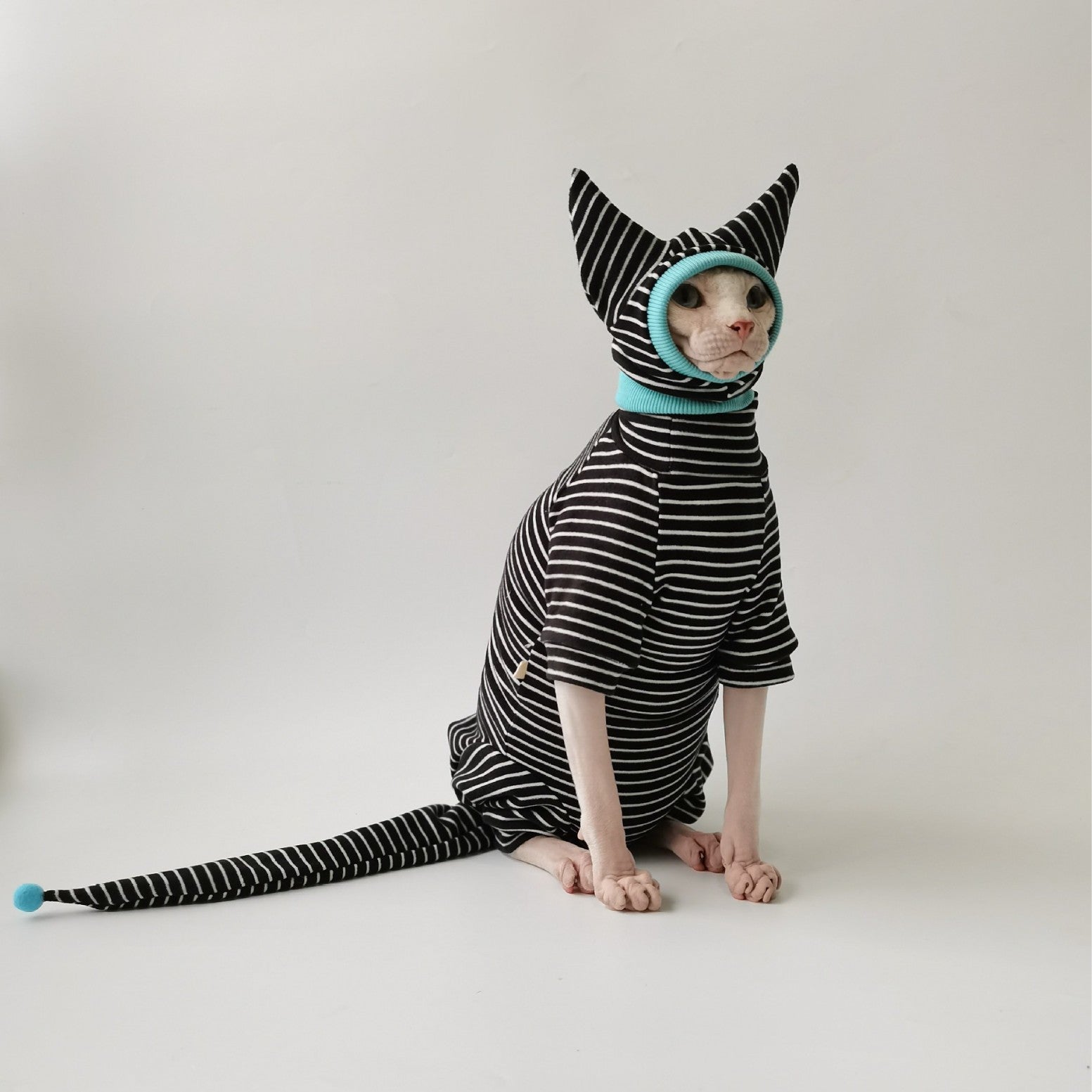 HKM-4691901 Dralon Casual Bellyband Pet Clothing with Optional Hat for Four-Legged Friends