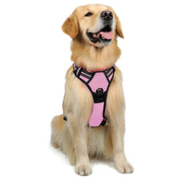HKM-4695869 Reflective Hand Holding Rope Vest for Dogs - Multiple Colors Available