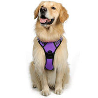 HKM-4695869 Reflective Hand Holding Rope Vest for Dogs - Multiple Colors Available