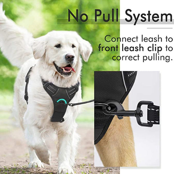 HKM-4695869 Reflective Hand Holding Rope Vest for Dogs - Multiple Colors Available