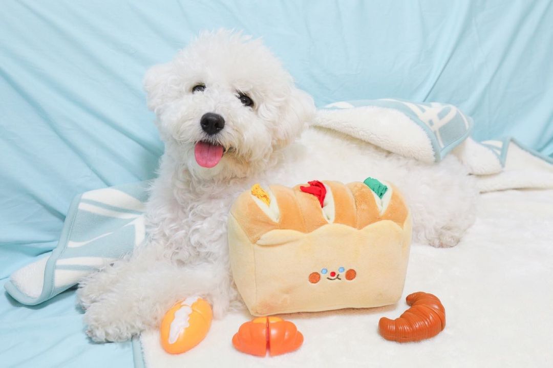 HKM-4702013 Tibetan Plush Bread Toast Toy with Food Hiding Strips and Rustling Paper