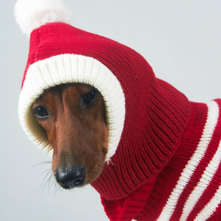 HKM-470547 Casual Snowflake Knitted Wool Ball Hat for Pets - Winter Fashion Accessory