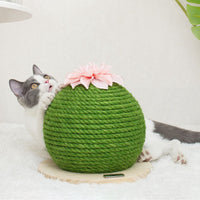 HKM-4706493 Sisal Cactus Cat Climbing Frame with Wooden Base for Nail Sharpening and Scratch Reduction