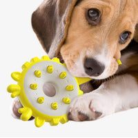 HKM-4714685 Training Bite Resistance Dog Toothbrush Toy Ring - Molar Dental Chew Toy in Lake Blue, Yellow, Green, Orange