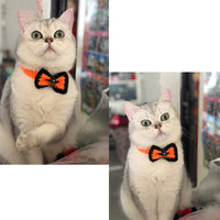 HKM-4715837 Halloween Pet Jewelry Hat and Collar Set for Cats - Adjustable Sizes XS to L