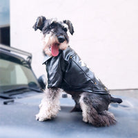 HKM-4718013 Cozy Pet Winter Clothes for Fall and Winter Seasons