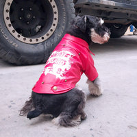 HKM-4718013 Cozy Pet Winter Clothes for Fall and Winter Seasons