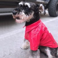 HKM-4718013 Cozy Pet Winter Clothes for Fall and Winter Seasons