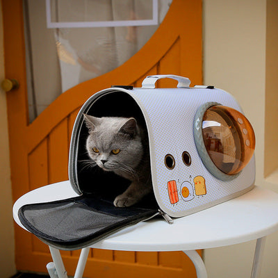 HKM-4723261 Portable Transparent Pet Bag for Cats, Medium Nylon Cat Cage with Cartoon Patterns