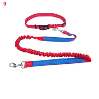 HKM-4729149 Elastic Traction Rope Belt for Pet Walking and Running - Adjustable Length and Comfortable Cushioning