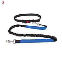 HKM-4729149 Elastic Traction Rope Belt for Pet Walking and Running - Adjustable Length and Comfortable Cushioning