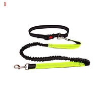 HKM-4729149 Elastic Traction Rope Belt for Pet Walking and Running - Adjustable Length and Comfortable Cushioning