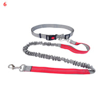 HKM-4729149 Elastic Traction Rope Belt for Pet Walking and Running - Adjustable Length and Comfortable Cushioning