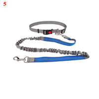 HKM-4729149 Elastic Traction Rope Belt for Pet Walking and Running - Adjustable Length and Comfortable Cushioning