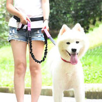HKM-4729149 Elastic Traction Rope Belt for Pet Walking and Running - Adjustable Length and Comfortable Cushioning
