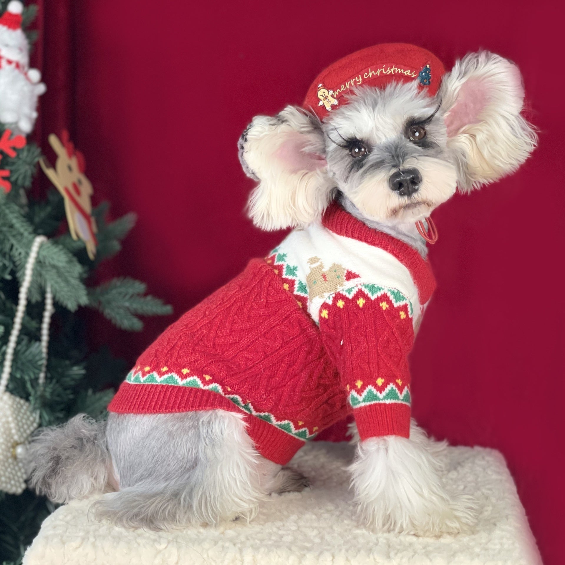 HKM-4733117 Christmas Dog Sweater in Wool - Red and Green, Sizes XS to XXL