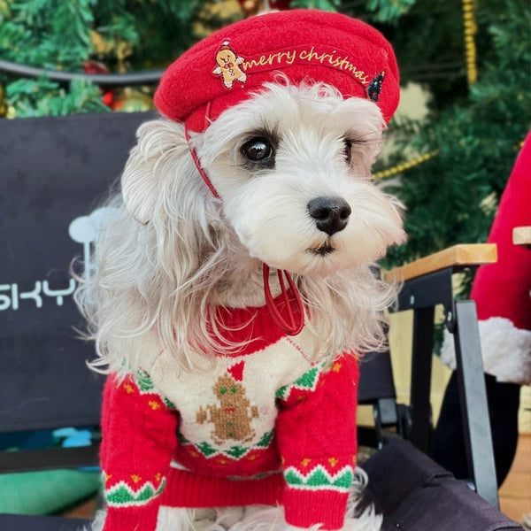 HKM-4733117 Christmas Dog Sweater in Wool - Red and Green, Sizes XS to XXL