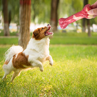 HKM-4741693 Durable Rubber Dog Chew Toy - Molar Stick for Teeth Grinding and Delayed Eating, Large 20.5x9cm