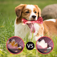 HKM-4741693 Durable Rubber Dog Chew Toy - Molar Stick for Teeth Grinding and Delayed Eating, Large 20.5x9cm