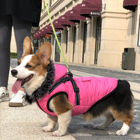 HKM-474195 Thickened Winter Cotton Vest with Warm Fur Collar for Dogs in Rose and Blue-Green