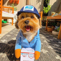 HKM-4745021 Pet Outfit for Dogs and Cats - Express Delivery Design in Brown and Sky Blue, Size S, M, L
