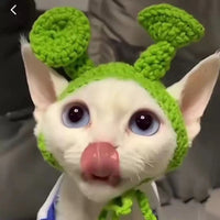 HKM-4745661 Wool Knitted Pet Hood for Dogs and Cats - Seasonal Fun Hats in Various Designs