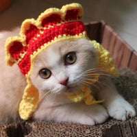 HKM-4745661 Wool Knitted Pet Hood for Dogs and Cats - Seasonal Fun Hats in Various Designs