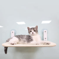 HKM-4748221 Four Seasons Universal Cat Litter Hammock with Suction Cups for Window Use, Foldable Design