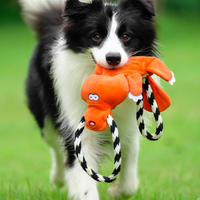 HKM-4749245 Medium to Large Dog Cotton String Molar Chew Toys - 22.5x8cm, Set of 2