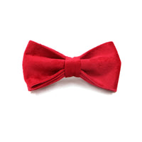 HKM-4756157 Red Thick Velvet Pet Collar and Leash Set with Gold Buckle and Bow Tie for Christmas