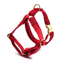HKM-4756157 Red Thick Velvet Pet Collar and Leash Set with Gold Buckle and Bow Tie for Christmas