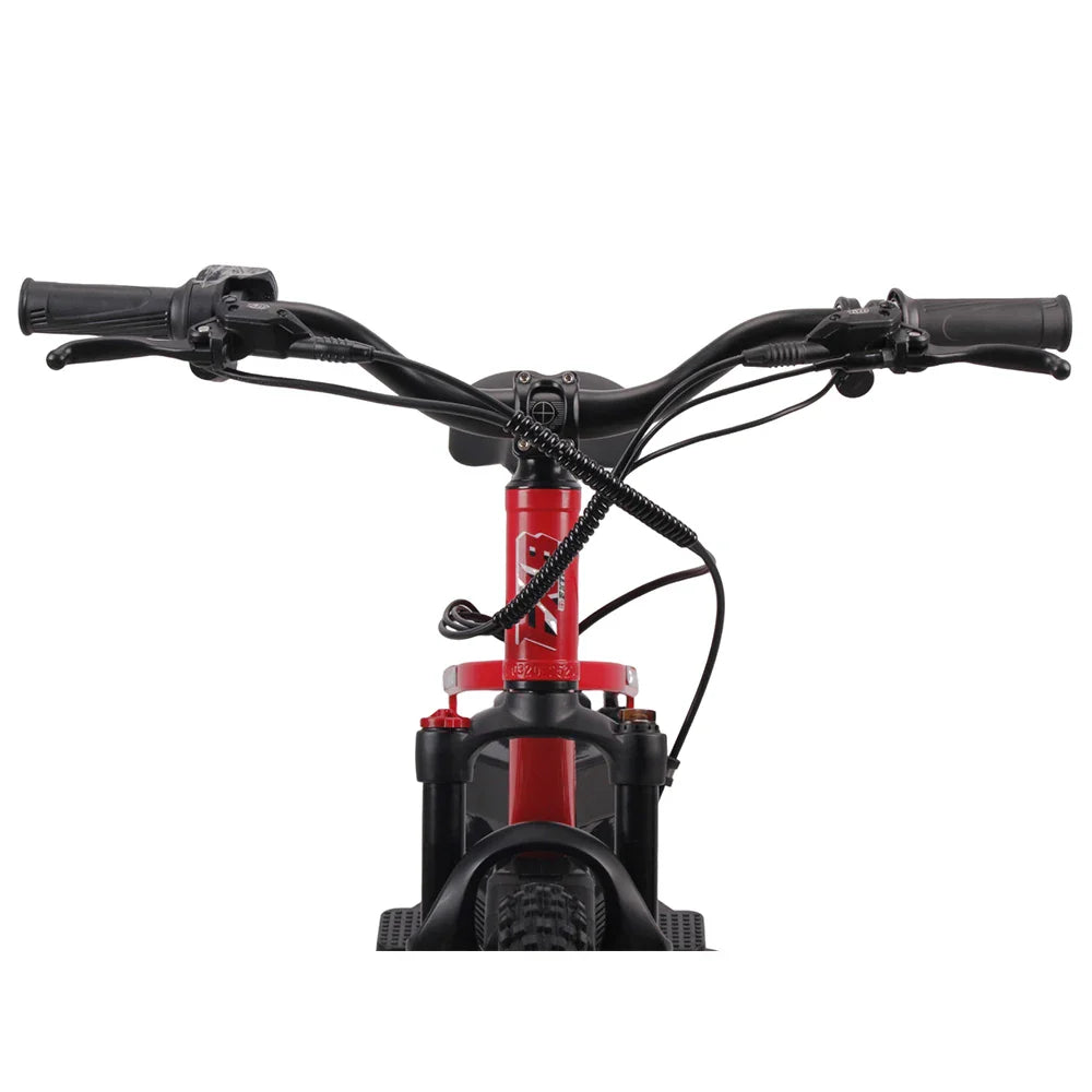 HKM-475923 20-inch Electric Balance Bike for Kids, 36V 600W, Two-Wheel Design, Aluminum Frame, Ages 8-13