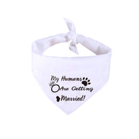 HKM-4759741 White Polyester Dog Scarf for Weddings with "He Asked" and "She Said Yes" Design