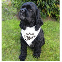 HKM-4759741 White Polyester Dog Scarf for Weddings with "He Asked" and "She Said Yes" Design