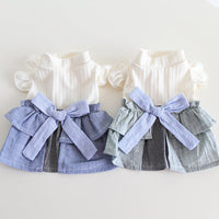 HKM-4762685 Cotton Linen Denim Blue Pet Skirt with Flounced Sleeves in Multiple Sizes