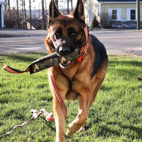 HKM-477139 Reflective Jute Dog Training Bite Stick – 55cm Length, Ideal for Training and Play