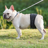 HKM-4771517 Men's Graphene Dog Diaper Bellyband - Comfortable, Casual Design in Black and Gray, Sizes XS-2XL