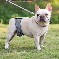 HKM-4771517 Men's Graphene Dog Diaper Bellyband - Comfortable, Casual Design in Black and Gray, Sizes XS-2XL