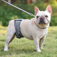 HKM-4771517 Men's Graphene Dog Diaper Bellyband - Comfortable, Casual Design in Black and Gray, Sizes XS-2XL