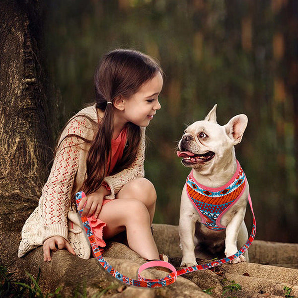 HKM-4772925 Trendy Breathable Chest Strap Harness for Small and Medium Dogs - Available in Blue, Purple, and Orange
