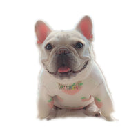 HKM-4779965 Casual Cotton Sweater in Cute Peach Print for Dogs and Cats