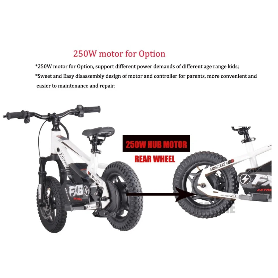 HKM-479379 Children's Electric Balance Bike 20" 350W 36V All-Terrain with Hydraulic Disc Brakes and Adjustable Suspension