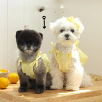 HKM-4795453 Charming Lace Dog and Cat Skirt with Bowknot Detail in Multiple Colors