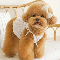 HKM-4795453 Charming Lace Dog and Cat Skirt with Bowknot Detail in Multiple Colors