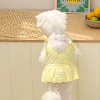 HKM-4795453 Charming Lace Dog and Cat Skirt with Bowknot Detail in Multiple Colors