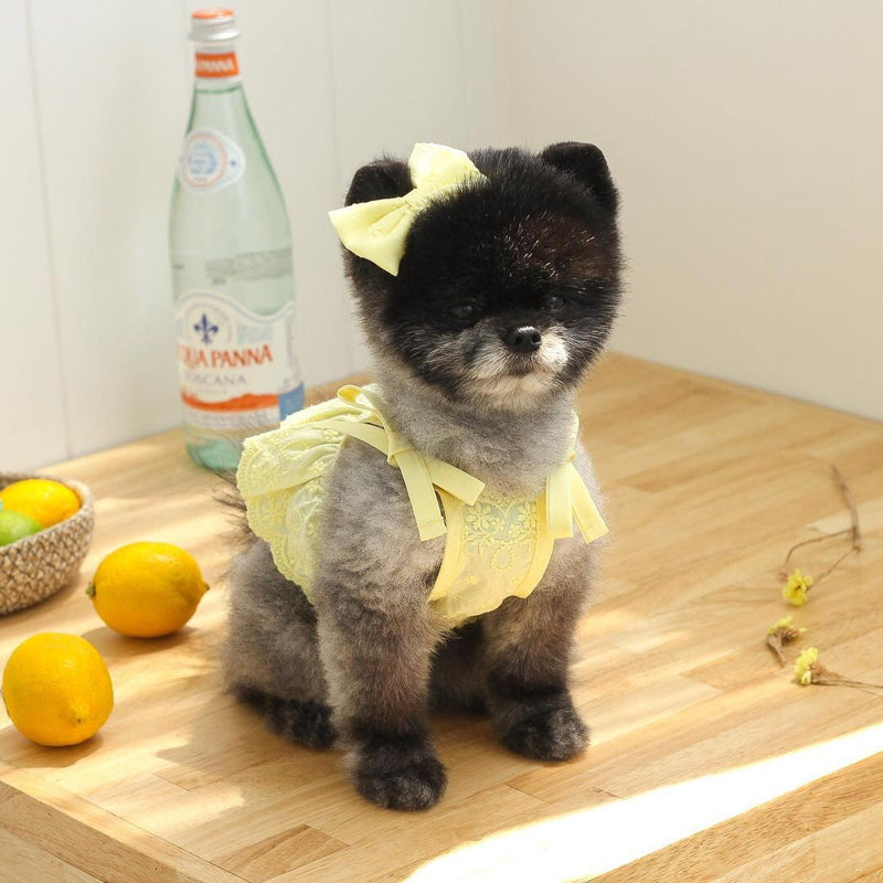 HKM-4795453 Charming Lace Dog and Cat Skirt with Bowknot Detail in Multiple Colors