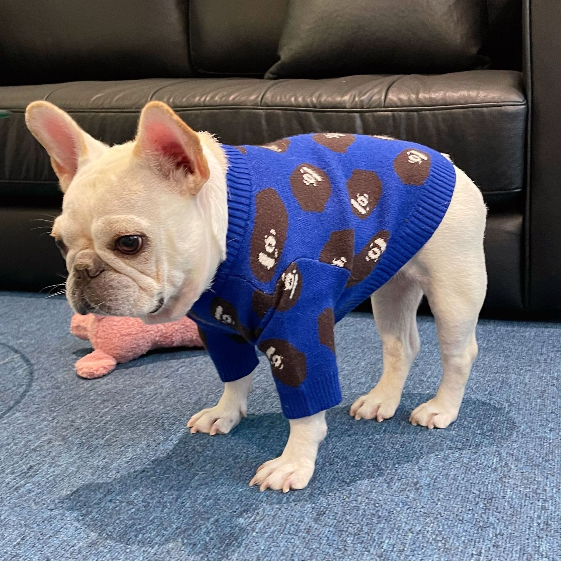 HKM-4798653 Cozy Blue Wool Sweater for Dogs and Cats in Multiple Sizes