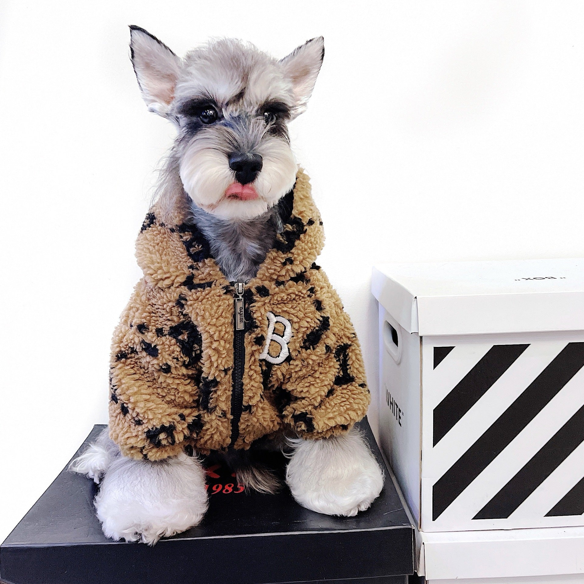 HKM-4801213 Thickened Lamb Fleece Coat for Autumn and Winter - Four-Legged Apparel in Yellow
